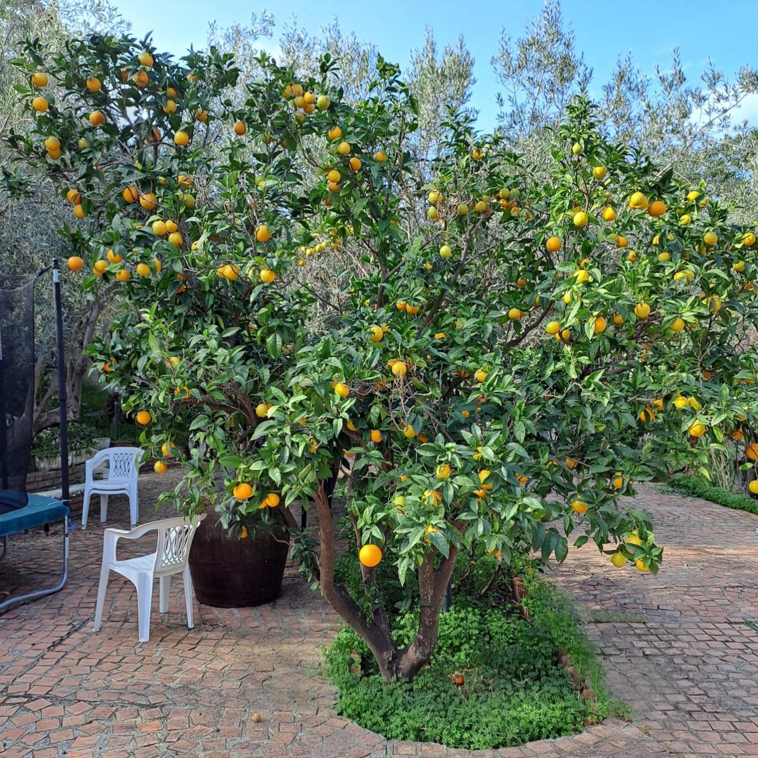 רומטה מראה Villa Gatto מראה חיצוני תמונה