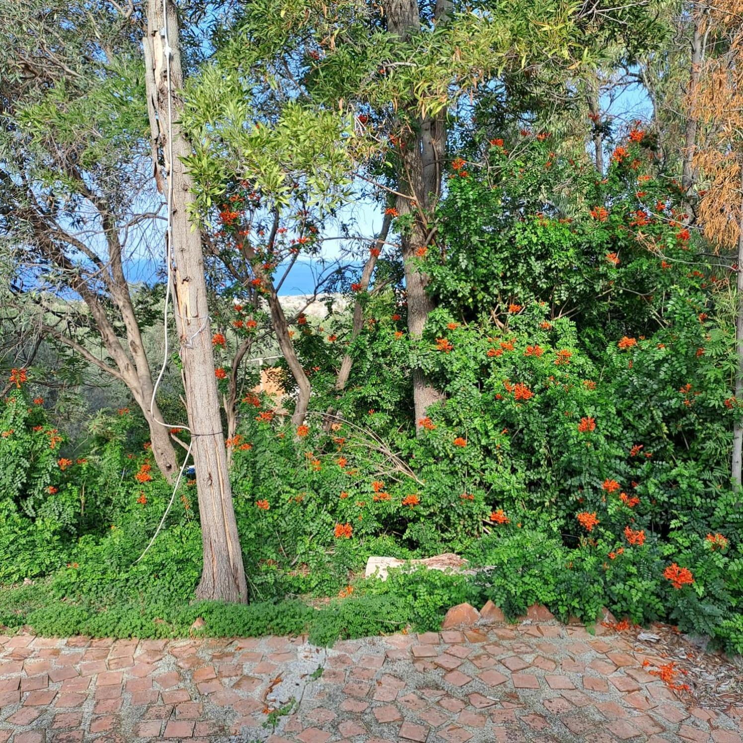 רומטה מראה Villa Gatto מראה חיצוני תמונה