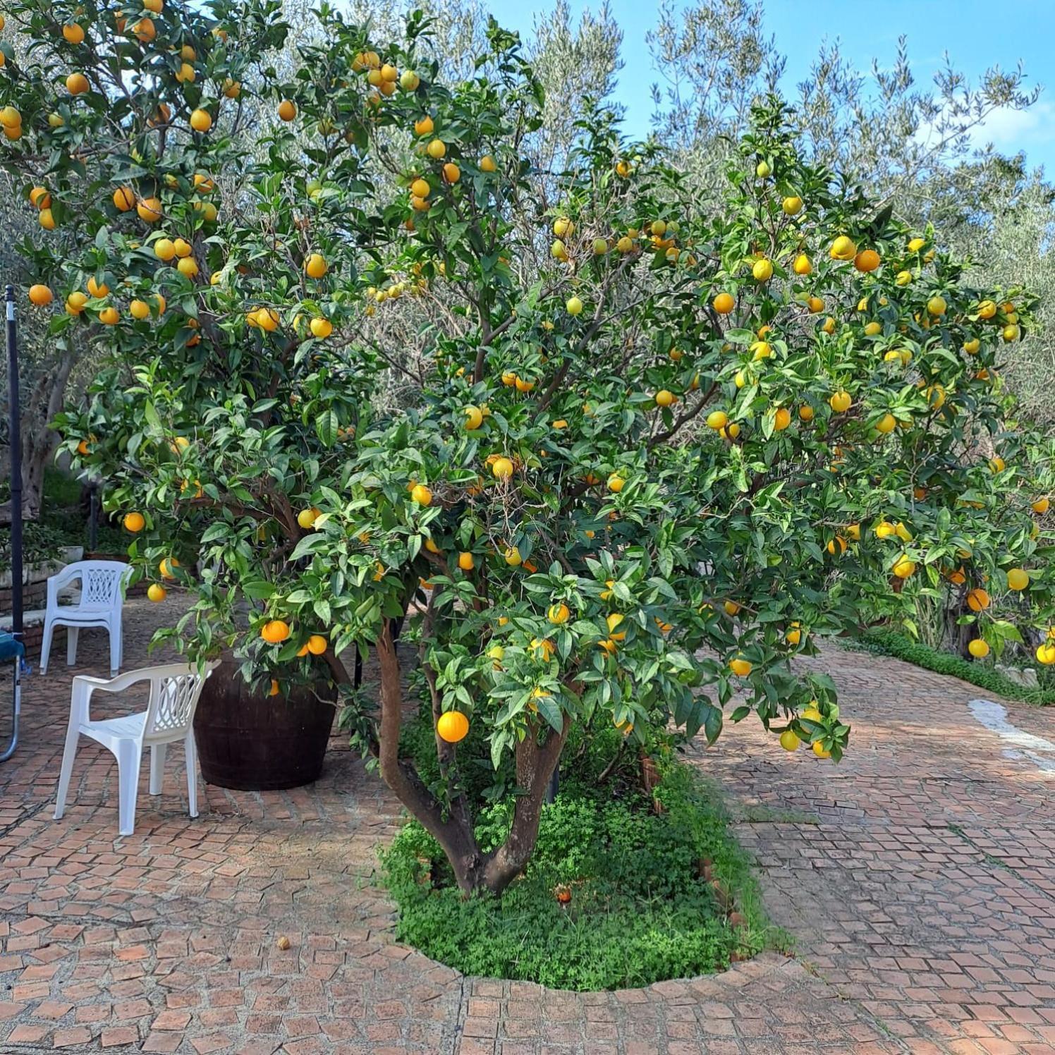 רומטה מראה Villa Gatto מראה חיצוני תמונה